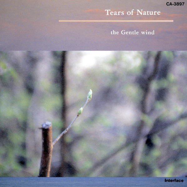 Tears of Nature/the Gentle wind 河合奈保子